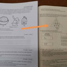 38462d28-d995-439b-98ad-e8b6de8f0157