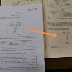 4b1dc08e-a7a0-4d7c-8ca2-378d8c3ddb37