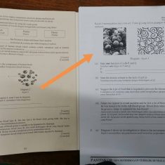 b2129c9a-68fd-44d5-bfa5-01b8c2a3573c